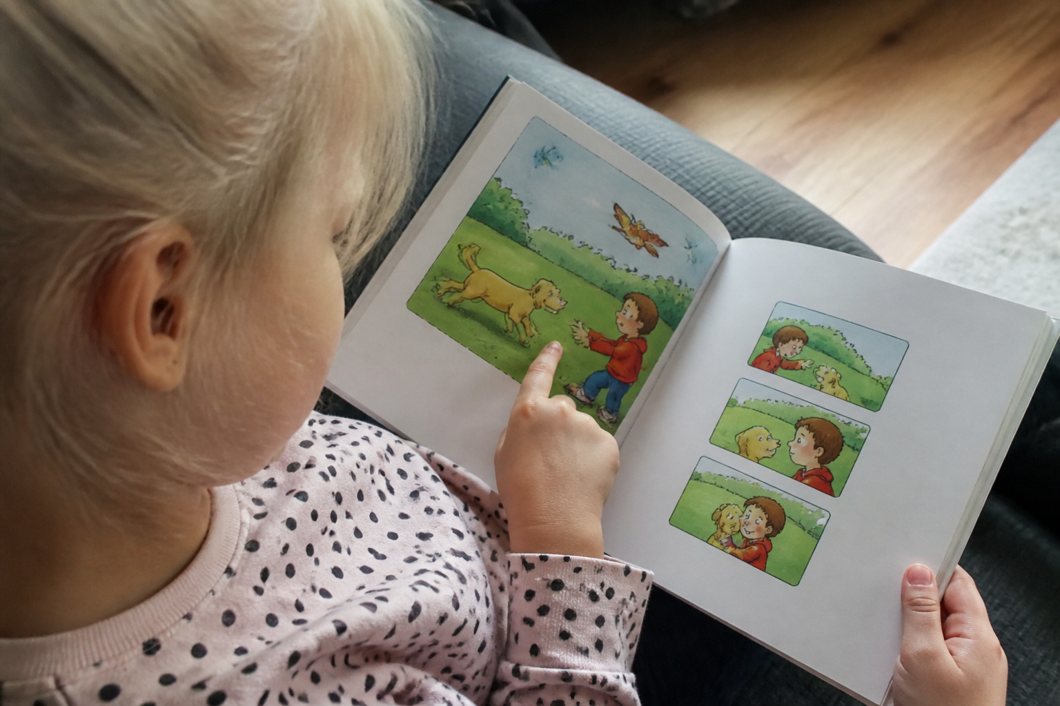 Boeken voor beginnende lezers